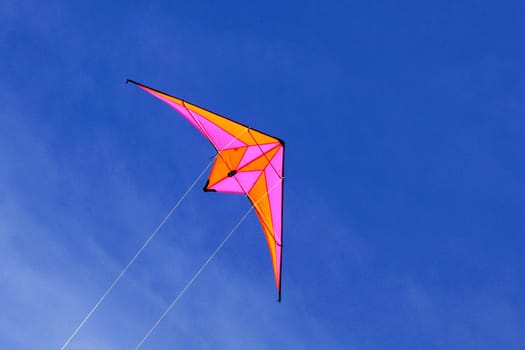 Kite