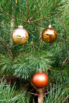 Christmas decorations with baubles