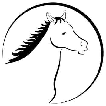 Horse Head Drawing