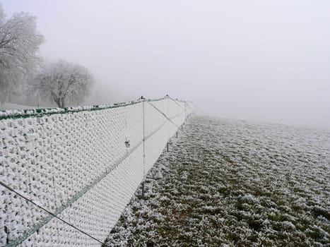Snow fence