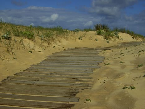 Dune 07