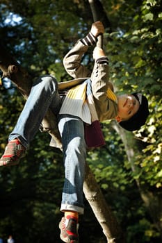 Climbing in the tree