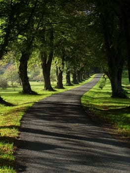 Avenue
