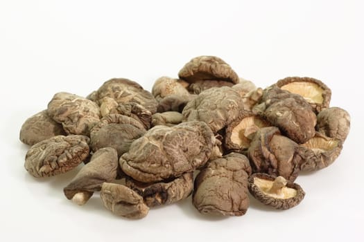 Asian Shiitake