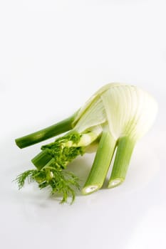 Fennel bulb