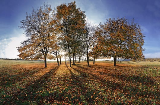 The shot is composed of 6 wide-angle portrait shots with PtGui