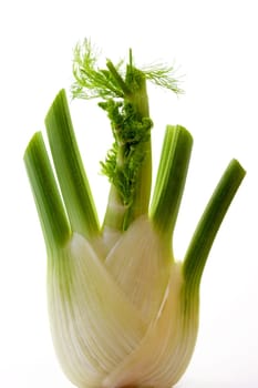 Healthy nutrition