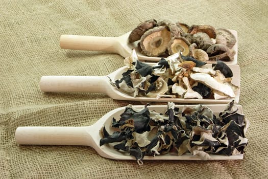 Mushroom assortment