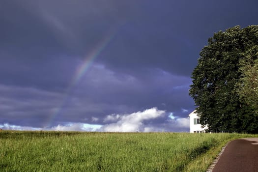 Rainbow