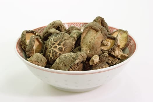 Shiitake