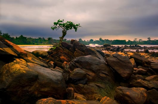 ... once again my favorite tree,my favorite place,how many times have I photographed here... and again and again the magnificent landscape shows a new face,a new light!