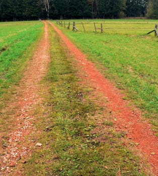 walk the line