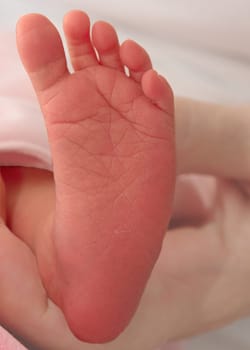 Feet of a newborn baby