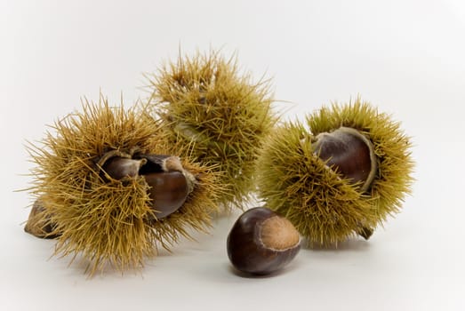 Eß - Chestnuts