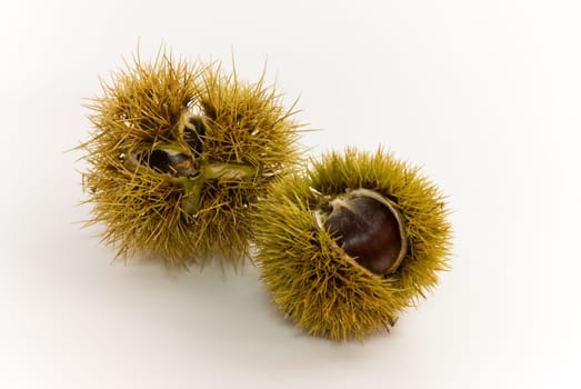 Eß - Chestnuts