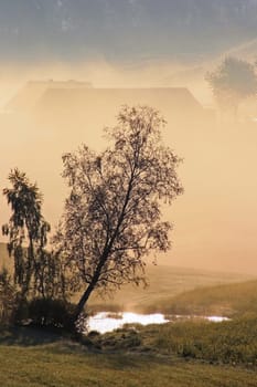 Morning mist