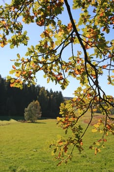Autumn Landscape
