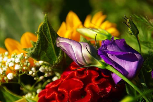 Bouquet 08