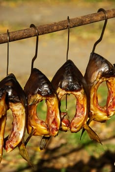 Räuerfisch 05