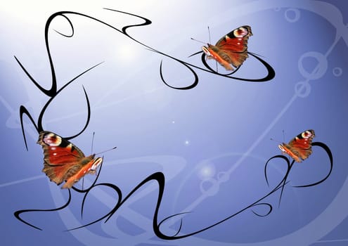 Butterfly
