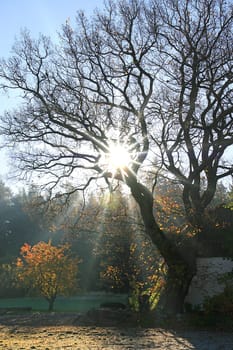 Autumn sun