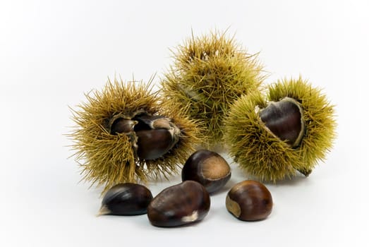 Eß - Chestnuts