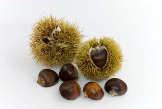 Eß - Chestnuts