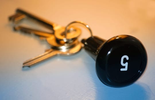 Hotel key