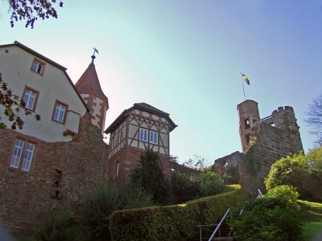 Dilsberg Castle