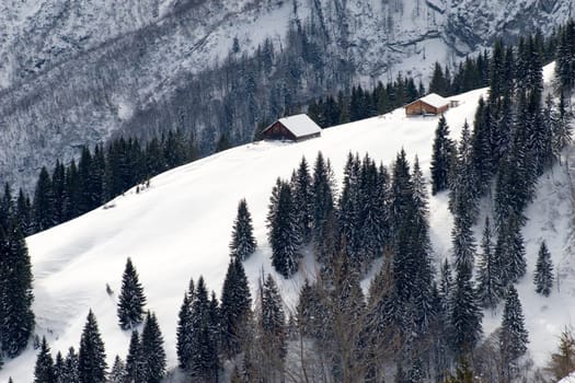Huts