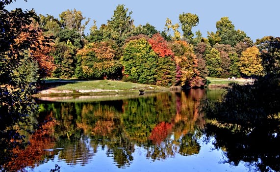Autumn Magic