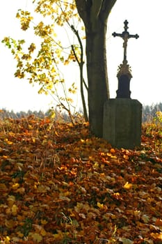 Field Cross