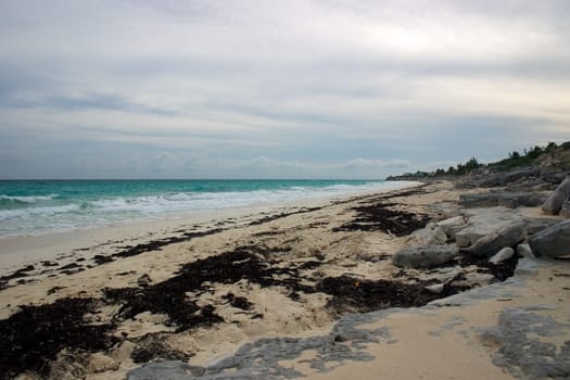 Lonely Beach