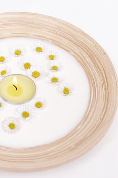 Wellness Bowl