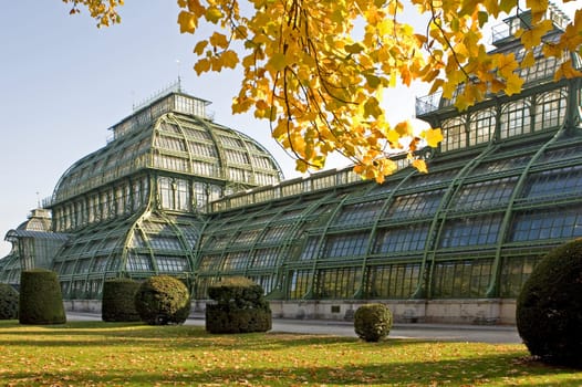 Palm House,Schönbrunn Palace