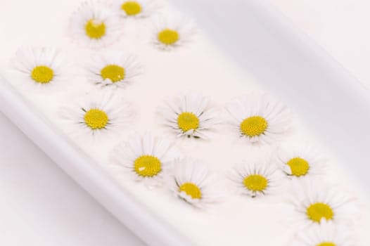 Floral decoration