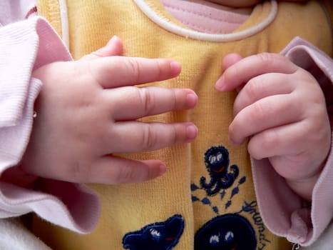 Little Hands