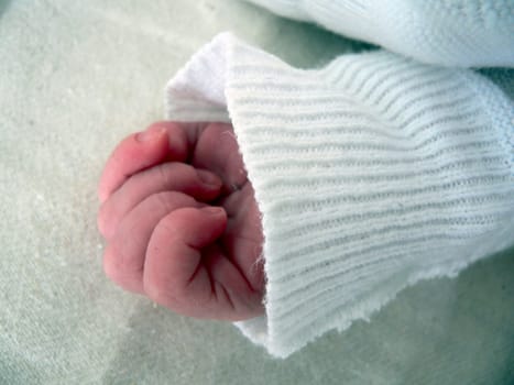 new born