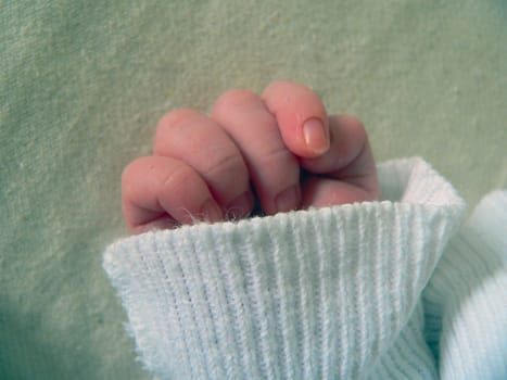 New life