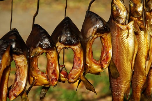 Räuerfisch 06