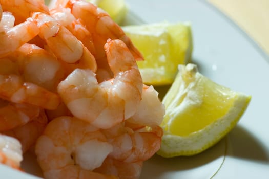 Prawns