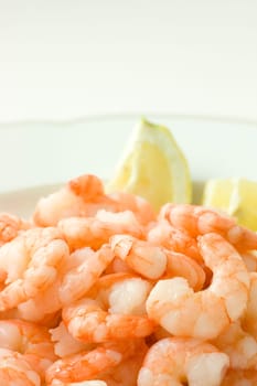 Prawns