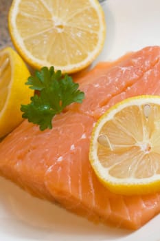 Salmon fillet
