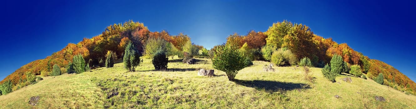 Autumn Landscape