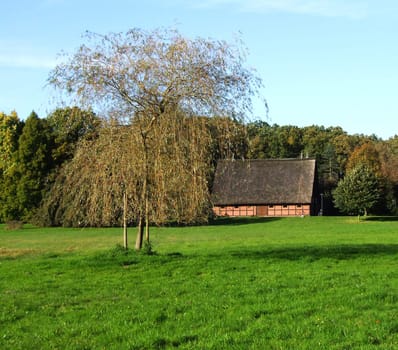 rural