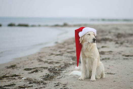 I can't see Christmas anymore