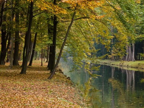 Autumn on the canal