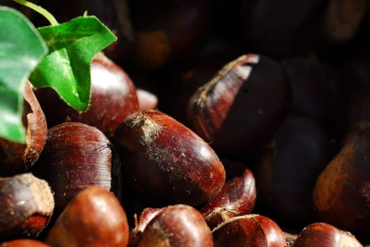 Chestnuts