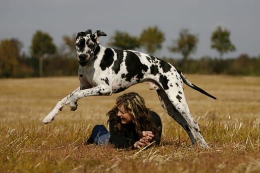 My dog playing with and about me.