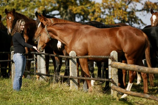 Woman at the horses
